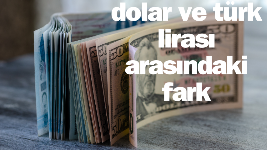 Dolar ve Türk Lirası Arasındaki Fark