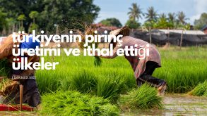 Türkiye’nin Pirinç Üretimi ve İthal Ettiği Ülkeler